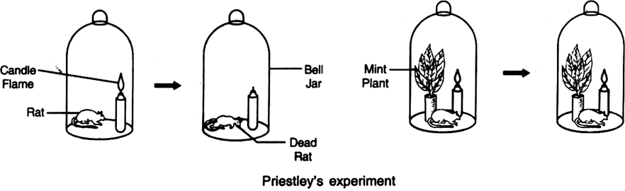 Priestley’s experiment.