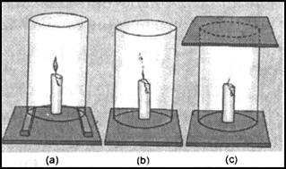 
This diagram shows air is essential for combustion by analysing follo