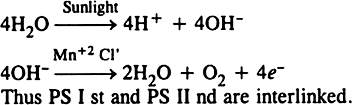 What is photosystem ? Which is the pigment that acts as reaction centre ? Describe the interaction of photosystem I and photosystem II.
Or
Discuss the mechanism of oxidation-reduction occurring in photosynthesis to generate ATP and NADPH.