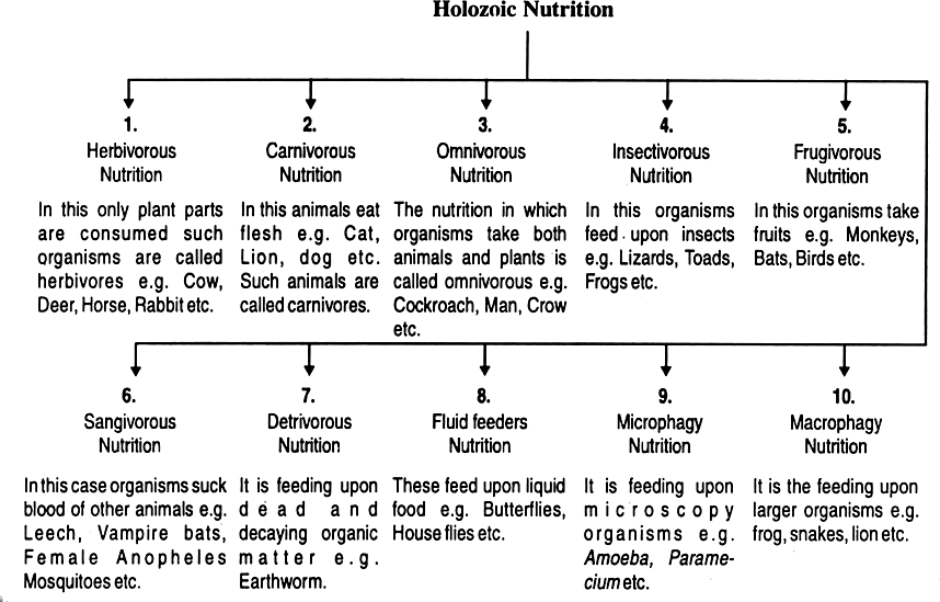 Describe types of holozoic nutrition.
