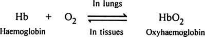  Discuss the transportation of oxygen.