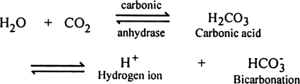 Comment upon the transportation of carbon-dioxide.