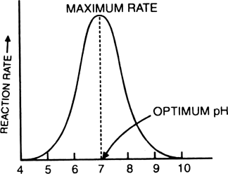 Describe the various factors which affect enzymatic reactions.