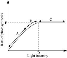 Figure 13.10 shows the effect of light on the rate of photosynthesis. Based on the graph, answer the following questions:
(a) At which point/s (A, B or C) in the curve is light a limiting factor?
(b) What could be the limiting factor/s in region A?
(c) What do C and D represent on the curve?
