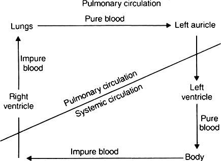 
Double circulation of blood : In double blood circulation, first impu