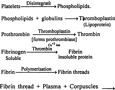 
Blood clotting : It is the natural device to check bleeding.
Mechanis