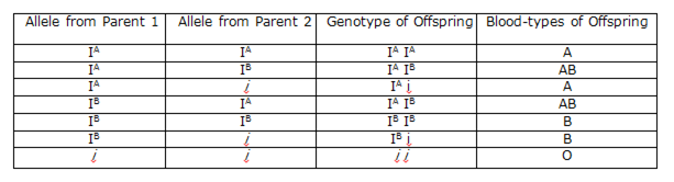 Blood Group Combination Chart