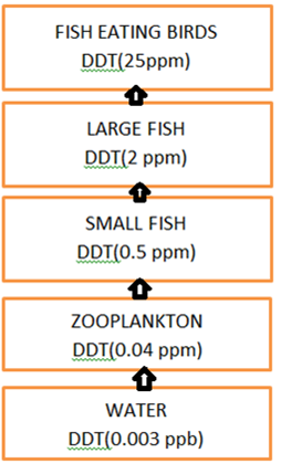 Ddt Charts