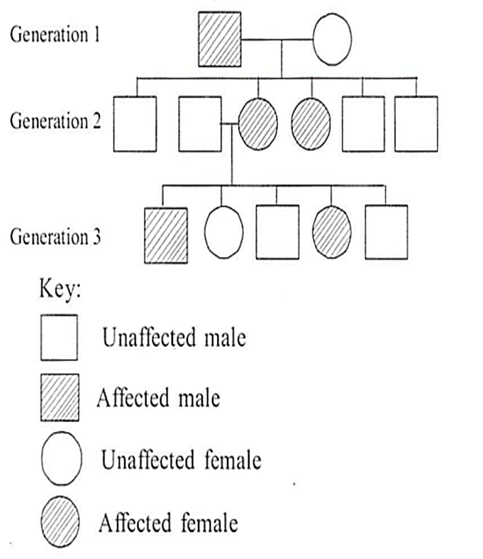 Given Below Is A Pedigree Chart Showing The Inheritance Ofa Certain Sex Linked Trait In Humansthe Trait Traced In The Above Pedigree Chart Is From Biology Principles Of Inheritance And Variation