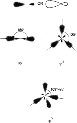 Draw The Shapes Of The Following Hybrid Orbitals Sp Sp2 Sp3 From Chemistry Chemical Bonding And Molecular Structure Class 11 Cbse