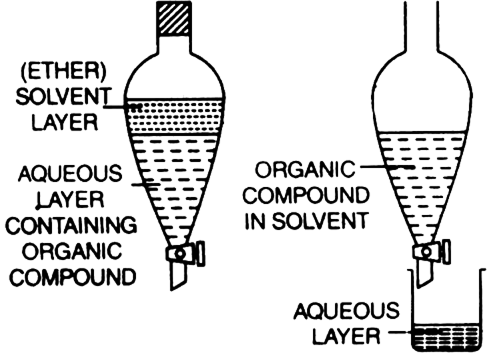 Describe Briefly The Process Of Differential Extraction From Chemistry Organic Chemistry Some Basic Principles And Techniques Class 11 Haryana Board English Medium Describe Briefly The Process Of Differential Extraction From Chemistry Organic Chemistry Some Basic Principles And Techniques Class 11 Haryana Board English Medium