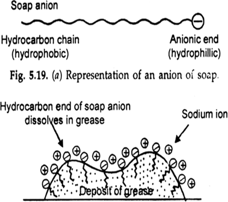 List two main ingredients which are used for making a detergent. Write