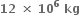 bold 12 bold space bold cross times bold space bold 10 to the power of bold 6 bold space bold kg