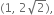 left parenthesis 1 comma space 2 square root of 2 right parenthesis comma