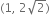 left parenthesis 1 comma space 2 square root of 2 right parenthesis