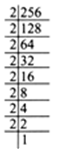 
(i) We have 243 = 3 x 3 x 3 x 3 x 3The prime factor 3 is not a group 