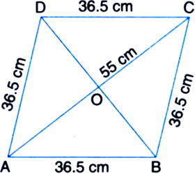 He Perimeter Of A Rhombus Is 146 Cm One Of Its Diagonals