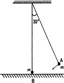 The bob A of a pendulum released from 30° to the vertical hits another bob B  of the same mass at rest on a table as shown. How high does the bob