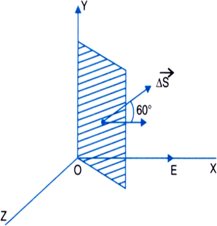 
(a)   The area of a surface can be represented as a vector along no