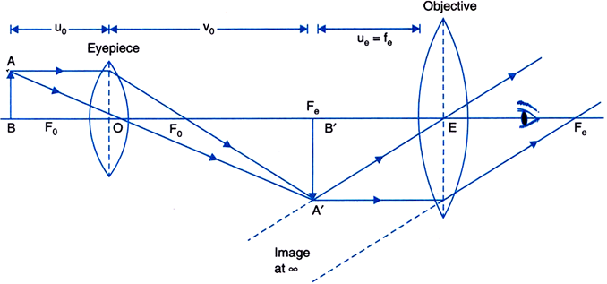 Best How To Draw Ray Diagram Of Compound Microscope  Learn more here 