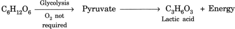 
Bacteria and yeast respire anaerobically i.e., in absence of oxygen. 