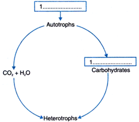 Fill In Flow Chart