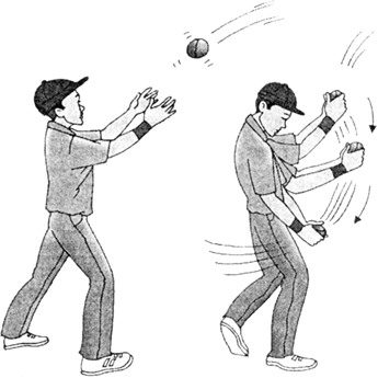
(i) A cricket player lowers his hands while catching a ball. By lower