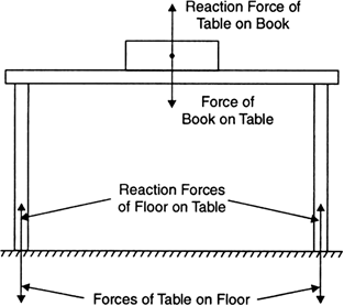 A book rests on a table: (i) Show the forces on the table and the ...
