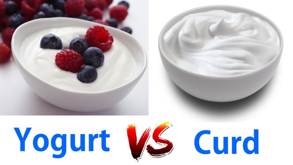 zigya.com:curdvsyogurt