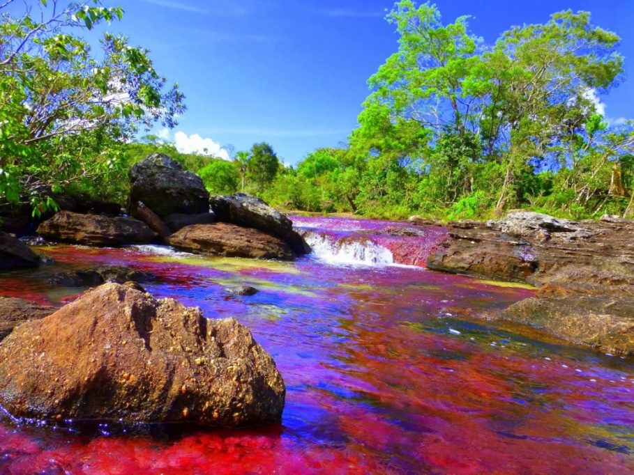 River of five colours