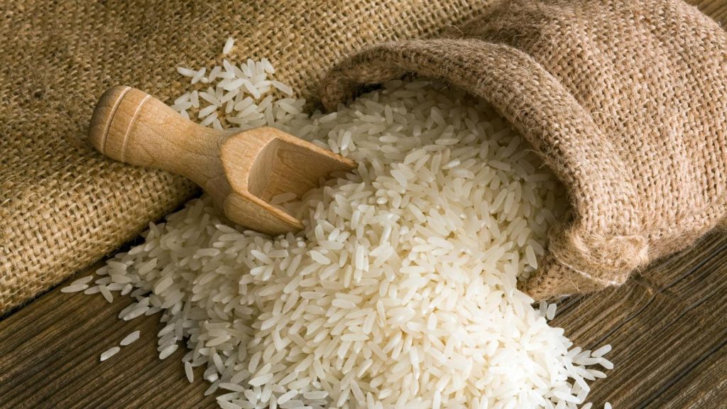 Zigya.com: Rice Cultivation